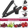Cherry Stoner, Cherry Stone Remover, Cherry Pitter Tool, Stainless Steel