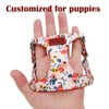 No Pull Dog Harness Adjustable Small pet Harness and Leash