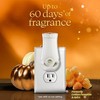 Glade PlugIns Refills Air Freshener, Pumpkin & Ginger, Scented and