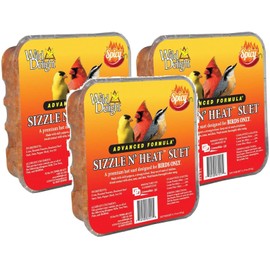 Wild Delight 3 Pack of Sizzle N Heat Spicy Suet for Birds, 11.75 Ounces Each