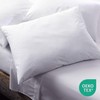 Martex 2-Pack Queen Pillows - Hotel Quality - Cozy Premium
