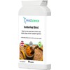 WellScience GoldenHeal Blend: Immune Support, Anti-Inflammatory, and Digestive Health -