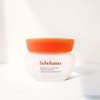 Sulwhasoo Firming Cream 150ml Composition Skin Moisturizing Nutrition Moisture Care