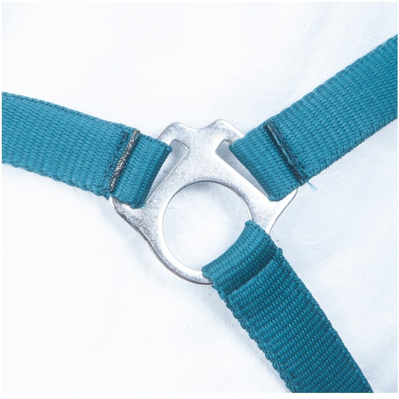 HKM by Reiterladen24 Basic Line Headcollar Petrol Thoroughbred