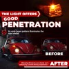 HECASA Turn Signal Light Assembly Compatible with 1970-1979 VW BUG
