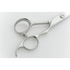 DEEDS Professional Japanese Shears Manufacturer GTX Scissors (6.5 inch)