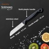 Quantity Paring Knife Serrated Stainless Steel Small Fruit and Vegetable