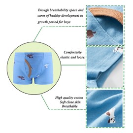 Boboking Little Boys Briefs Dinosaur Toddler Training Underwear Assorted Size 5