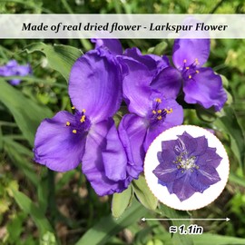 Purple Pressed Dried Larkspur Flowers, 60PCS Natural Real Dried Pressed Delphinium Flowers, Dry Flowers for Resin Art DIY Craft Ornament Candle Making