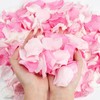 240PCS Real Rose Flower Petals Confetti for Wedding Flower Girl