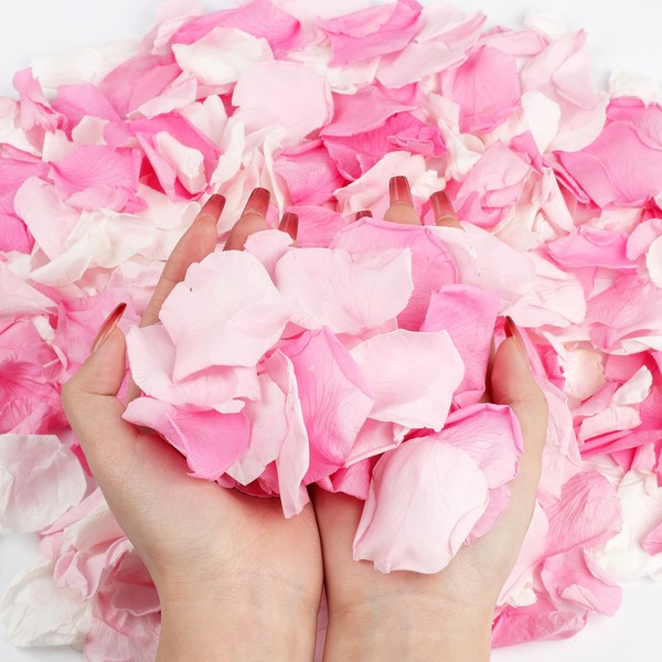 240PCS Real Rose Flower Petals Confetti for Wedding Flower Girl