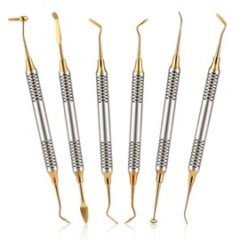 6 Piezas Kit de Limpieza Dental, Juego de Herramientas Dental de Acero Inoxidable Profesional, Diseño Multifuncional de Doble Cabezal, para Adultos
