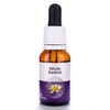 Living Essences Wooly Banksia 15ml