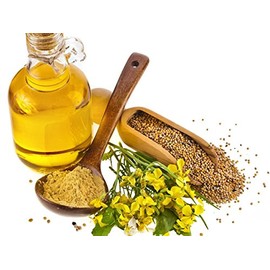 JYE Aceite de Mostaza Natural y puro, libre de quimicos, grado cosmético, hidratante, aceite para masajes, textura ligera, para todo tipo de piel, contenido 60 ML