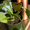 Fungus Gnat & Fruit Fly Trap Stakes: Hide Sticky Traps