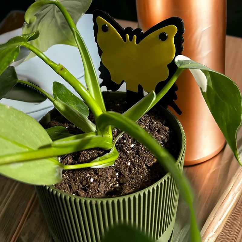 Fungus Gnat & Fruit Fly Trap Stakes: Hide Sticky Traps