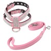 Newtensina Stylish Dog Harness with Diamond and Lead Cute Girl