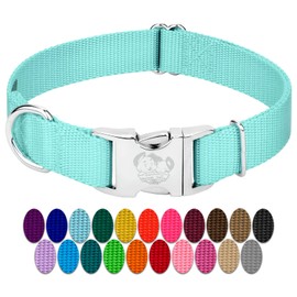 Country Brook Petz Premium Nylon Dog Collar with Metal Buckle for Small Medium Large Breeds - Vibrant 30+ Color Selection (Large, 1 Inch, Light Cyan)