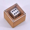 Magic: Dice in the Box, Bizarre Dice Box (Wooden), Non-Rotating, Telepathy, Prophecy Dice, Close Stage Magic Tool, Magic Goods, Instruction Manual Included