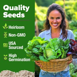 HOME GROWN 5 Lettuce Seed Pack – 3950 Heirloom Vegetable Seeds for Indoor, Outdoor, or Hydroponic Growing – Black Seeded Simpson, Red Romaine, Bibb, Buttercrunch, Iceberg Varieties (Lactuca Sativa)