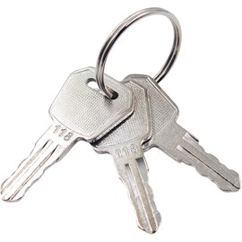 SPJIUQI 3PCS 1115-500016-00 Ignition Keys Compatible with Big Joe Electric Pallet Jacks E30 EZ30 EPT20-15ET EPT20-18EA ES10-10ES ES10-10MM ES10-22DM ES10-22MM JX1 JX2, Brown, 1