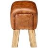 Bare Decor Gorgie Accent Stool in Brown Genuine Leather, Small