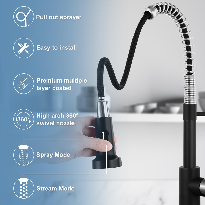 DJS Kitchen Faucets with Pull Down Sprayer Matte Black &
