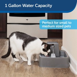 PetSafe Drinkwell 1 Gallon (128 Ounce) Medium Pet Fountain - Cat or Medium Breed Dog Water Fountain - Dishwasher Safe Filtered Water Dispenser with Flow Control - Filters Included - Easy to Clean