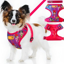 Arnés Pechera Ajustable Antitirones Para Perro Chico Mediano Chicas Superpoderosas 5