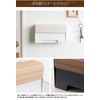 Miyatake Seisakusho MC-1400M Mask Case for Magnetic Entrance Door, White