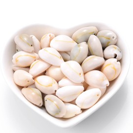 Pack of 100 Shells Craft Shells with Holes Ideal for Crafts, Decoration or Jewellery Making, Vase Filling, Bracelets, Necklace Accessories, Wedding Decoration on Beach Party, True Colour