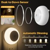 fesnne Night Light, Night Lights Plug into Wall, Dusk to