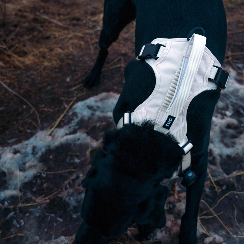 TUG Grab Dog Harness | Integrated Traffic Leash Magnetically Attached