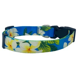 Shaka's Salty Paws Boy & Girl Dog Collar Small Medium Large (Blue Floral Hawaiian Print Dog Collar, Small Dog Collar Adj. 10-16" for Dogs up to 25 lbs)