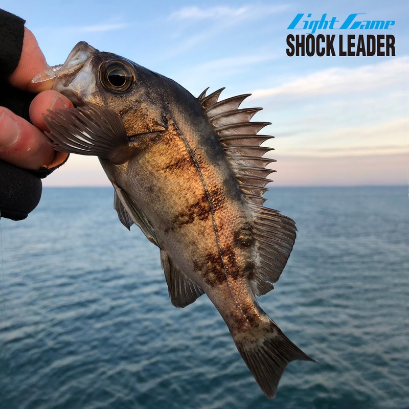 VARIVAS Light Game Shock Leader, Fluorocarbon, 11.8 ft (30 m),