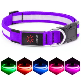 VIZPET LED Dog Collar, Light Up Dog Collar Adjustable USB Rechargeable Super Bright Safety Light Glowing Collars for Dogs (Purple, Large[18.89-23.62 inch/48-60cm])