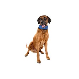 Karlie Cooling Bandana Fresk, Large, 45 to 65 cm