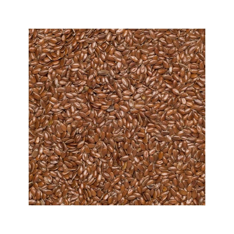 Wholefood Earth Organic Brown Linseed/Flaxseed – 500g | Raw |