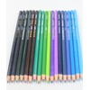 everycor 色鉛筆 36色セット 文具 お絵描き イラスト描き プレゼント 子供 大人の塗り絵用 カラー