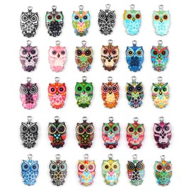 Thinp 30 Pieces Owl Enamel Charms, Colorful Owl Charms for Jewelry Making Metal Owl Charms Pendants Cute Animal Enamel Charms for DIY Necklace Earring Bracelet Christmas Craft Supplies