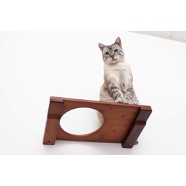 CatastrophiCreations Cat Escape Hatch Handcrafted Elevated Wall