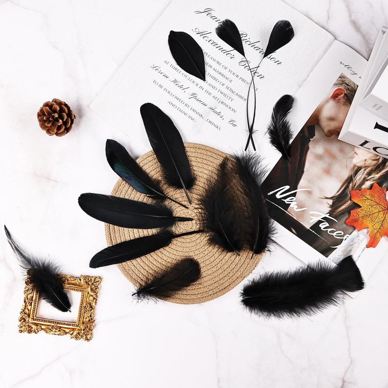 FeelfunFeather Pheasant Feathers -30pcs 5 Style Natural Mixed Decorative Spotted