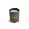 The ANCIENT OLIVE TREES Candle | 65-Hour Burn Time |