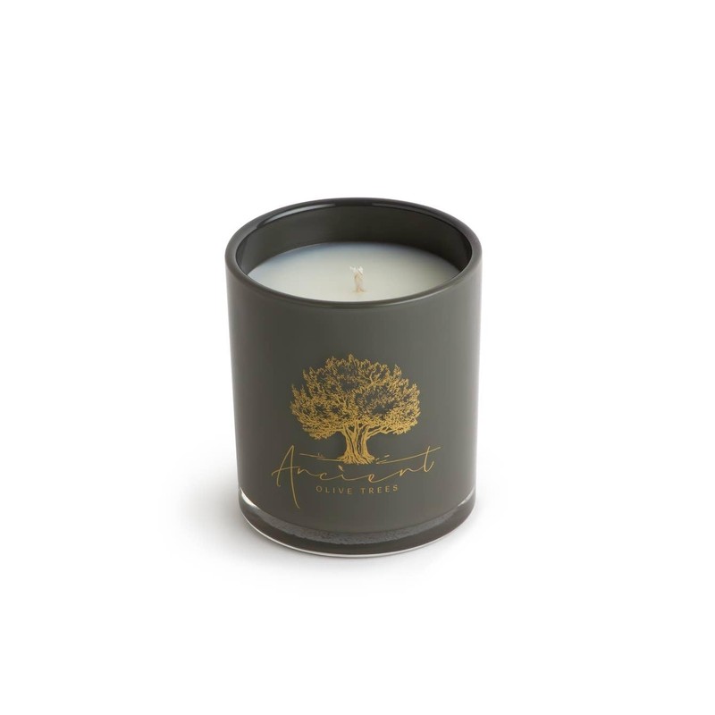 The ANCIENT OLIVE TREES Candle | 65-Hour Burn Time |