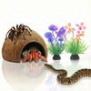 Favozio Natural Coconut Shell Hideout Cave, 5" Aquarium Fish &