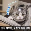 고양이 모자 보호 투명 통기성 반려묘 목욕 반려동물 Cat Hat