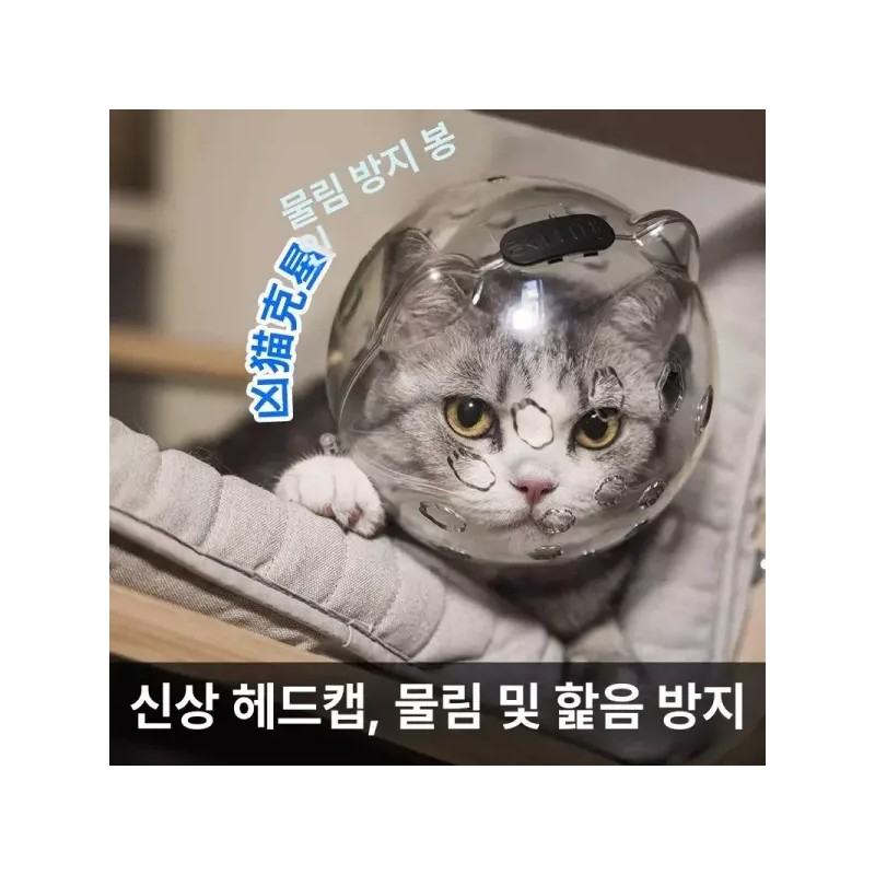 고양이 모자 보호 투명 통기성 반려묘 목욕 반려동물 Cat Hat