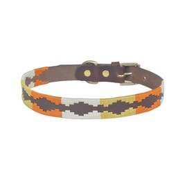 Dog Collar L 14-19 Inches