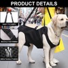 Dog Carrying Aid, Carrying Aid, Dog Stairs, Adjustable for Rear