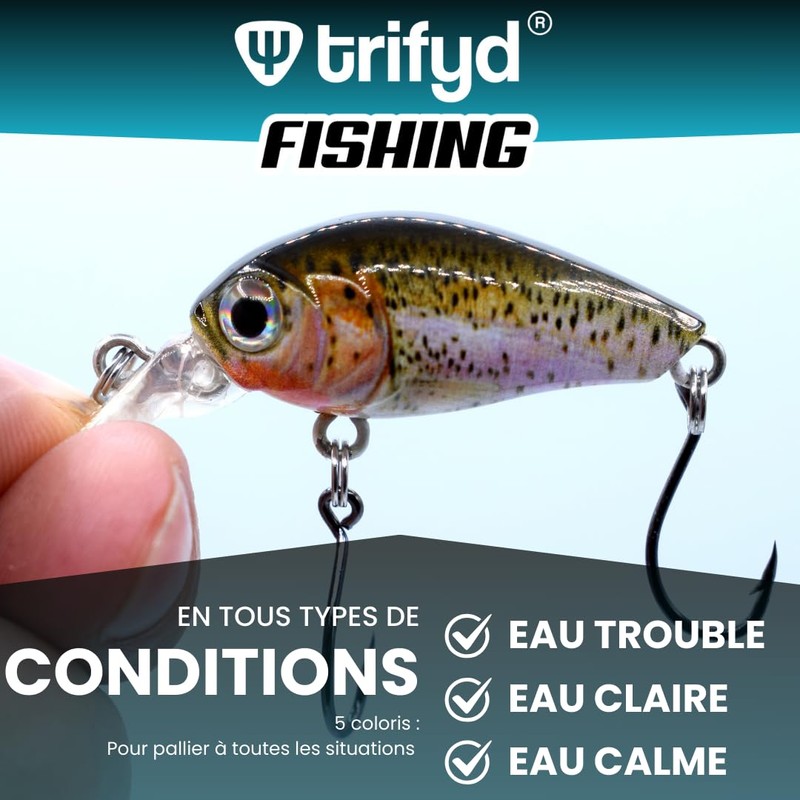 trifyd ® - Swimming Fish Trout Cranckbait 4cm Trout Box